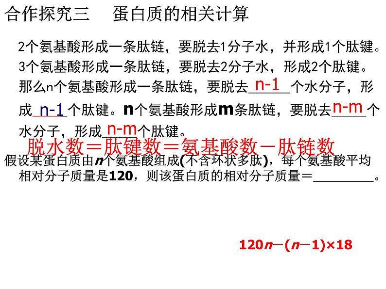 《第5节 核酸是遗传信息的携带者》课件2第3页