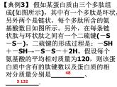 《第5节 核酸是遗传信息的携带者》课件2