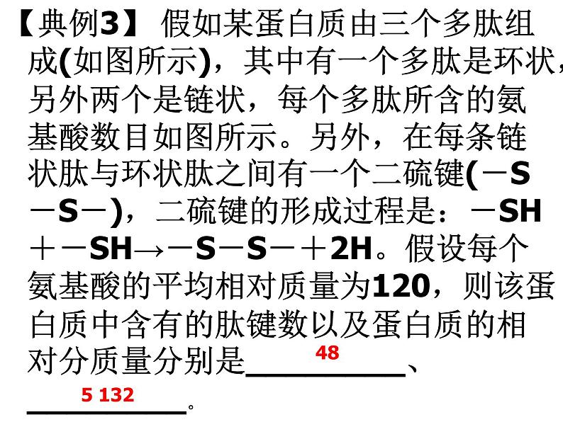 《第5节 核酸是遗传信息的携带者》课件2第4页