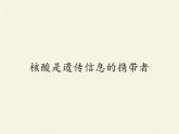 《第5节 核酸是遗传信息的携带者》课件1
