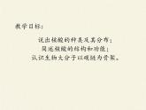 《第5节 核酸是遗传信息的携带者》课件1