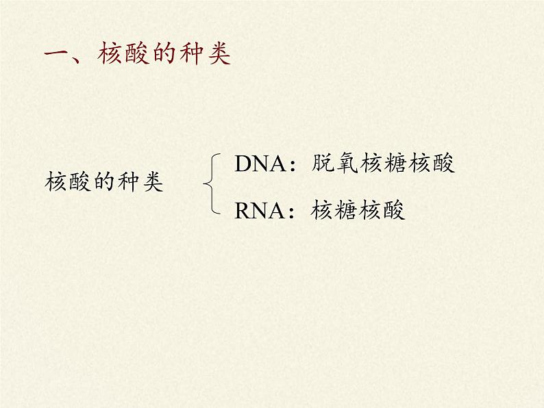 《第5节 核酸是遗传信息的携带者》课件104