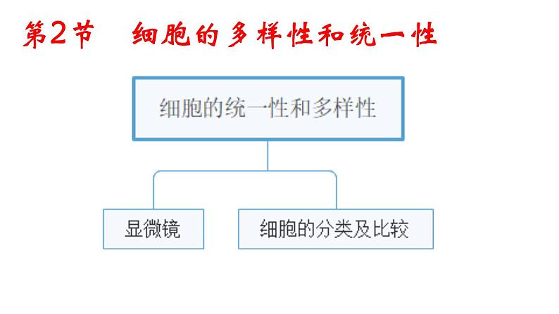 《第2节 细胞的多样性和统一性》课件02