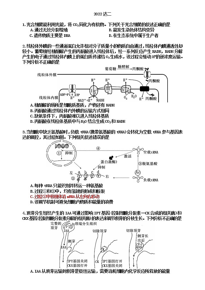 四川省达州市2022届高三下学期4月第二次诊断性测试（二模） 生物 Word版含答案01