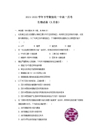 2021-2022学年河北省张家口市宣化第一中学高一下学期3月月考生物试卷含答案