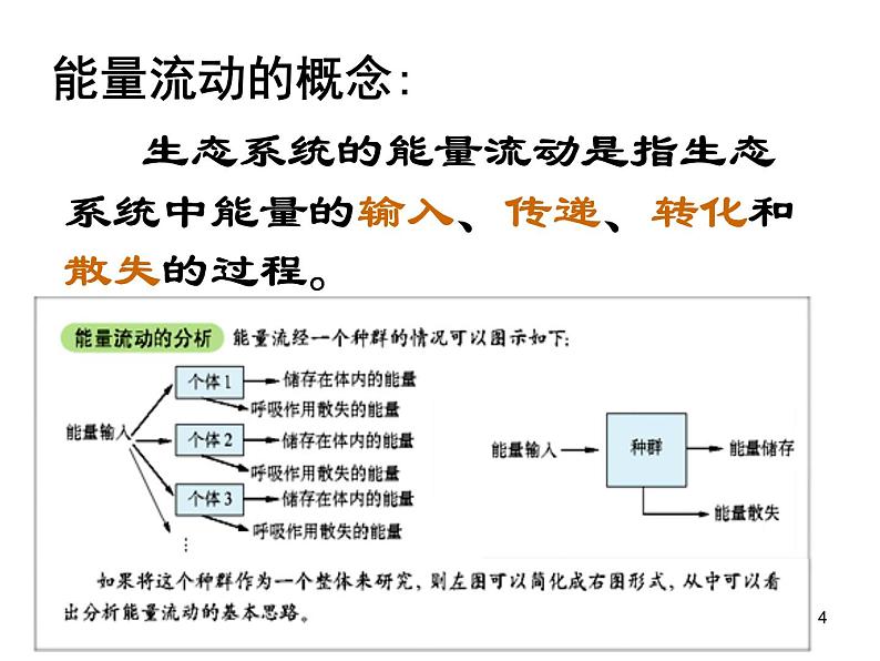 选修2 3.2生态系统的能量流动课件PPT第4页