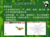 选修2 3.4生态系统的信息传递课件PPT