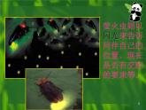 选修2 3.4生态系统的信息传递课件PPT