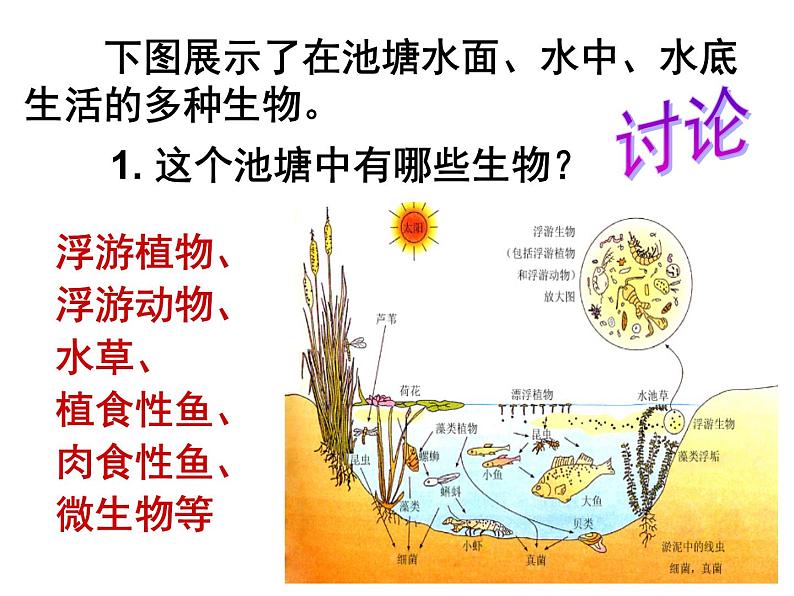 选修2 2.1  群落的结构课件PPT02