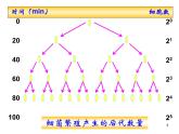 选修2 1.2  种群数量的变化课件PPT