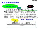 选修2 3.3生态系统的物质循环课件PPT