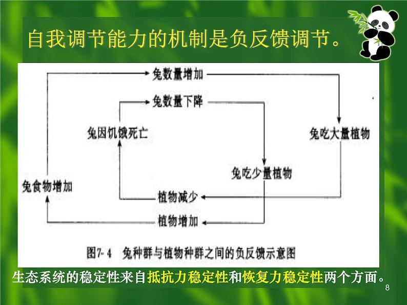 选修2 3.5生态系统的稳定性课件PPT08