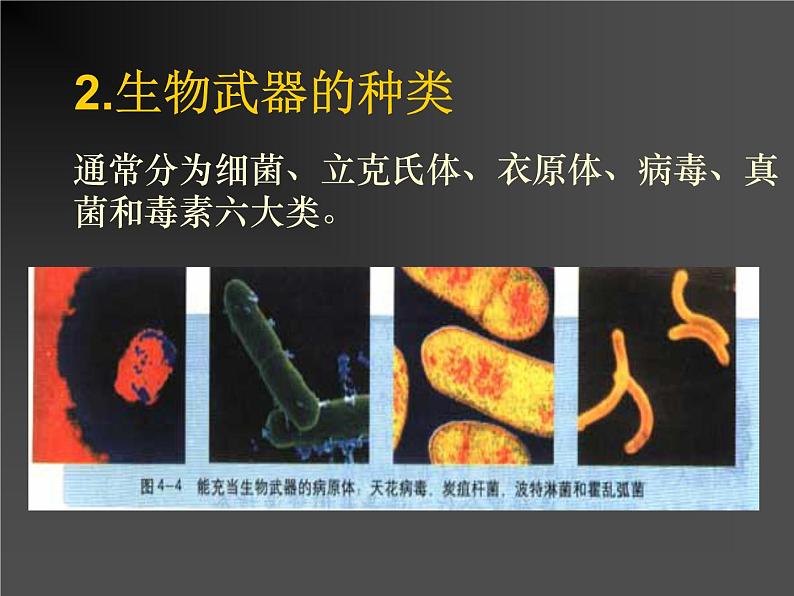 《禁止生物武器》课件（1）（新人教版选修3）第4页