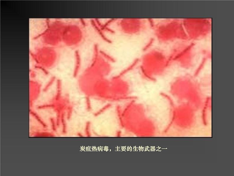 《禁止生物武器》课件（1）（新人教版选修3）第6页