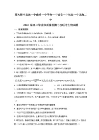 2022漳州七校（厦大附中、龙海一中、南靖一中、平和一中、诏安一中、长泰一中、龙海二中）高三下学期4月诊断性联考生物试题含答案