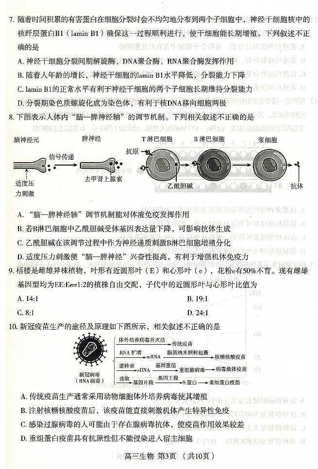 2022石家庄高三高中毕业班质检（二）（二模）生物图片版含答案03