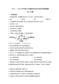 2022泉州高二上学期期末生物试题含答案