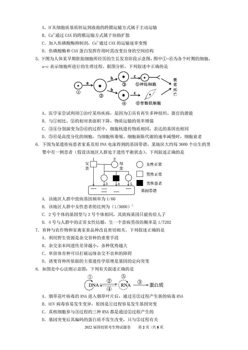 2022届广东省华附、省实、广雅、深中高三上学期期末四校联考试题生物试卷PDF版含答案02