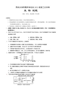 2021届重庆市北碚区西南大学附属中学高三上学期10月第二次月考生物试题含答案