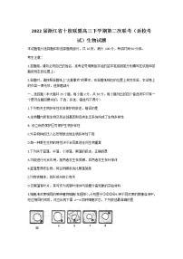 2022届浙江省十校联盟高三下学期第二次联考（返校考试）生物试题含答案