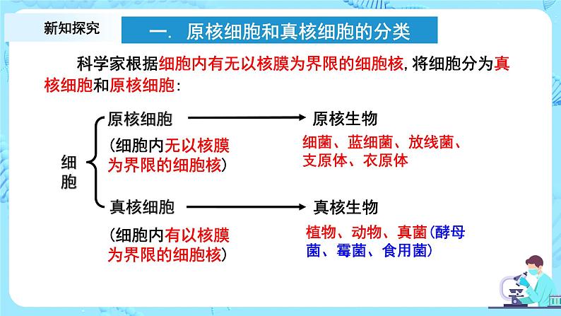 1.2.2.《细胞的多样性与统一性》第2课时课件+教案+练习06