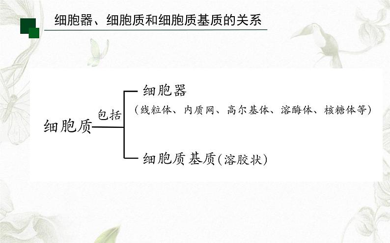 3.2细胞器之间的分工合作课件PPT第4页