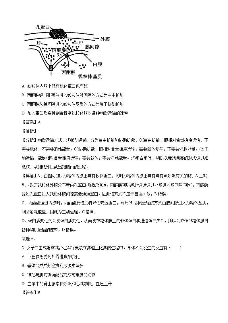2022届黑龙江省哈尔滨市三中高三第一次模拟理综生物试题含解析第3页