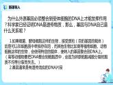 3.4《基因通常是有遗传效应的DNA片段》课件PPT+教案