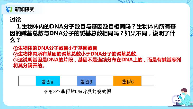 3.4《基因通常是有遗传效应的DNA片段》课件PPT+教案07