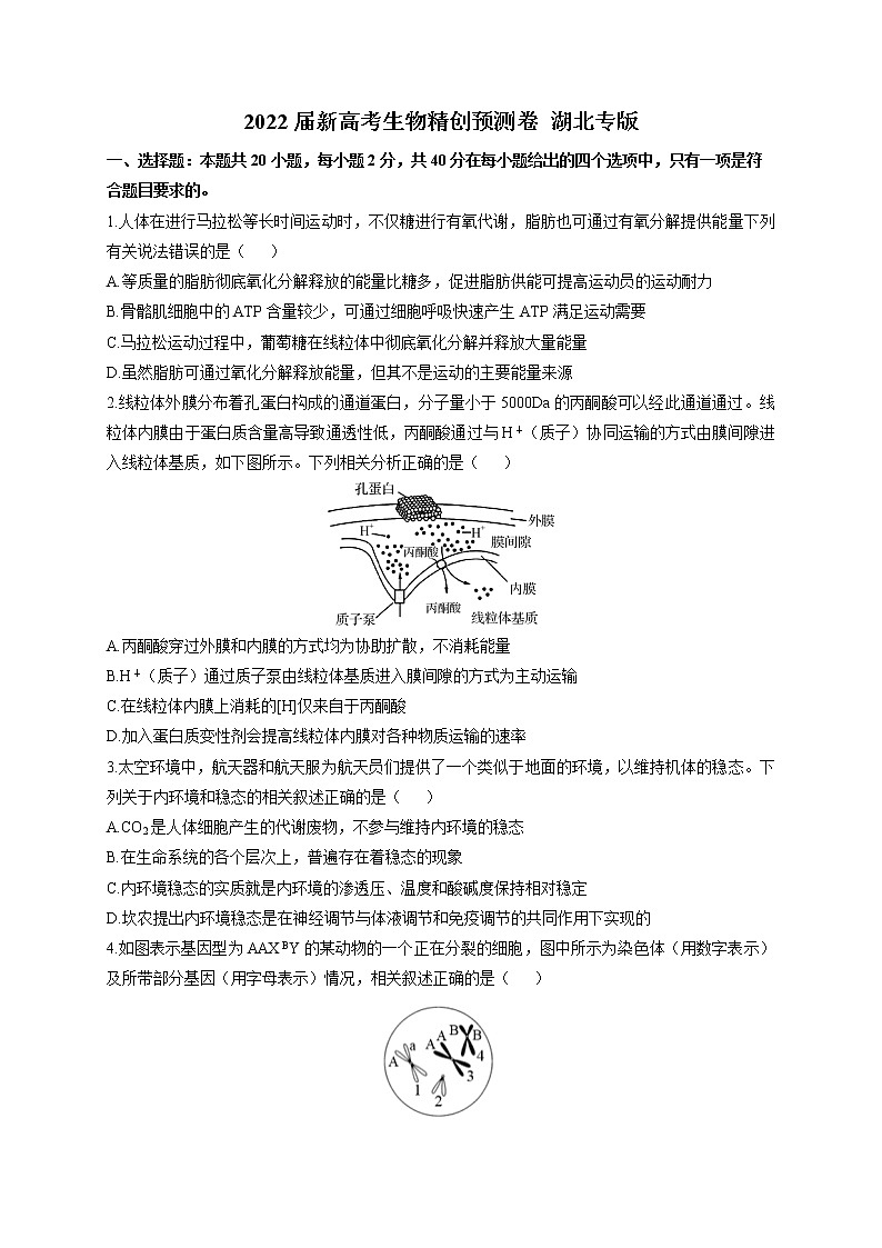 2022届新高考生物精创预测卷 湖北专版（含答案）第1页