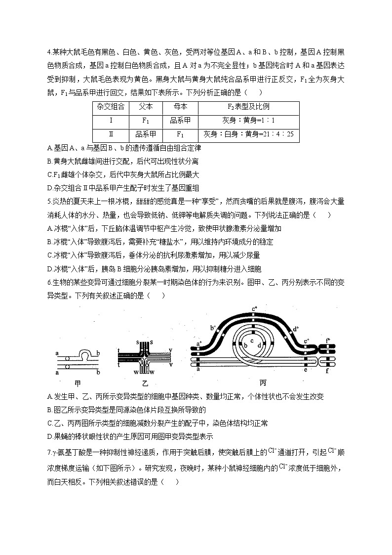 2022届新高考生物精创预测卷 辽宁专版（含答案）第2页