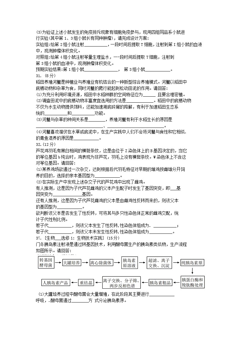 2022长春高三下学期二模考试生物试题含答案03