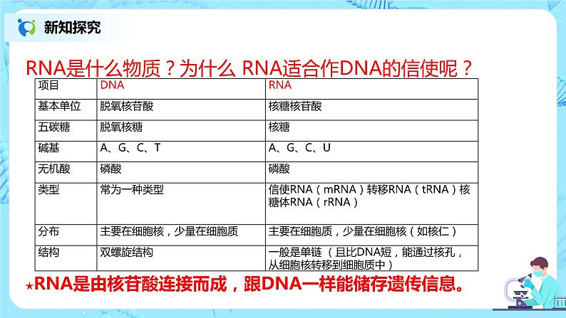 4.1《基因指导蛋白质的合成》课件PPT第5页