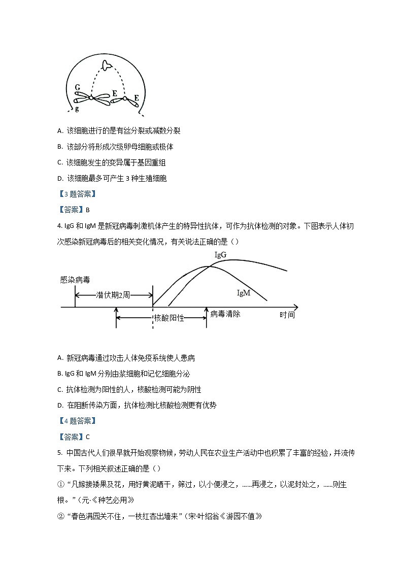 2022维吾尔自治区高三下学期第二次适应性检测试题（二模）理综生物含答案02