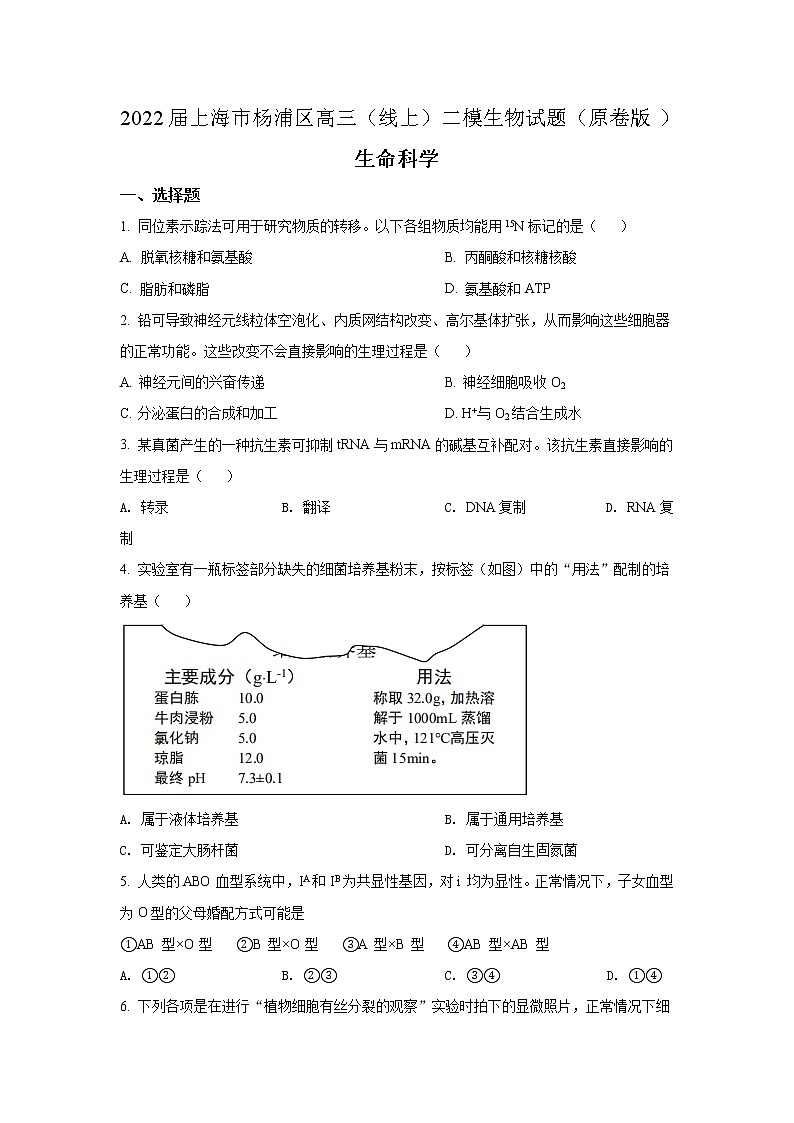 2022届上海市杨浦区高三（线上）二模生物试题（原卷版+解析版）01