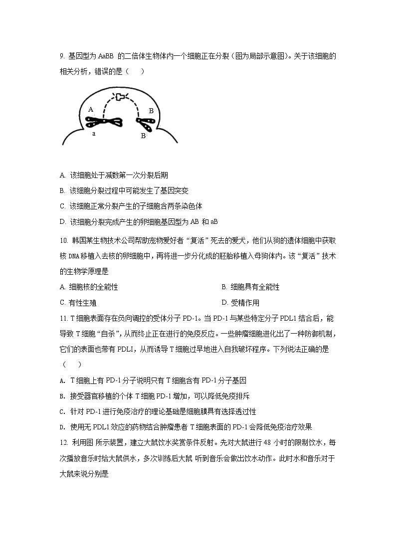 2022届上海市杨浦区高三（线上）二模生物试题（原卷版+解析版）03