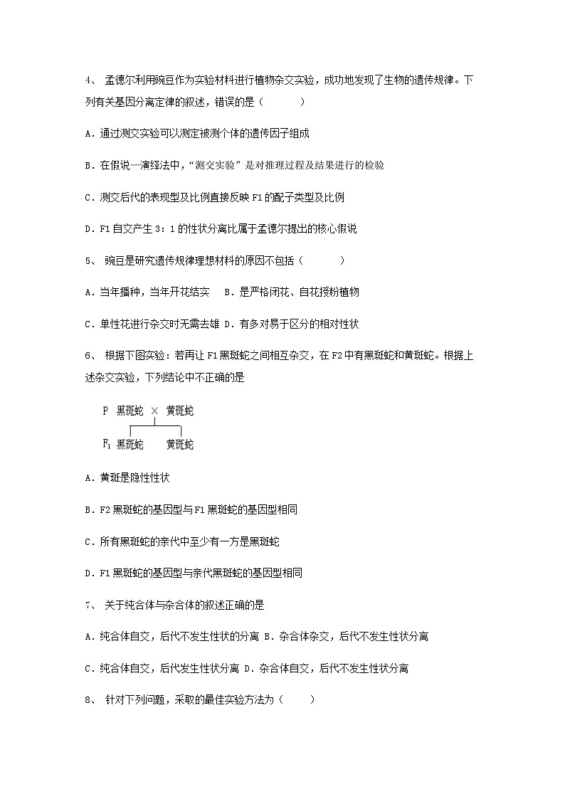 1.1《孟德尔的豌豆杂交实验（一）》课件（送教案+练习）02