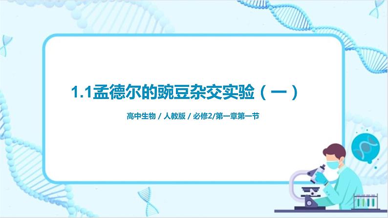 1.1《孟德尔的豌豆杂交实验（一）》课件（送教案+练习）01