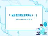 1.1《孟德尔的豌豆杂交实验（一）》课件（送教案+练习）