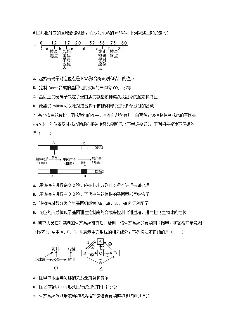 2022天津市宁河区芦台一中高三下学期线上二模考试生物试题含答案02