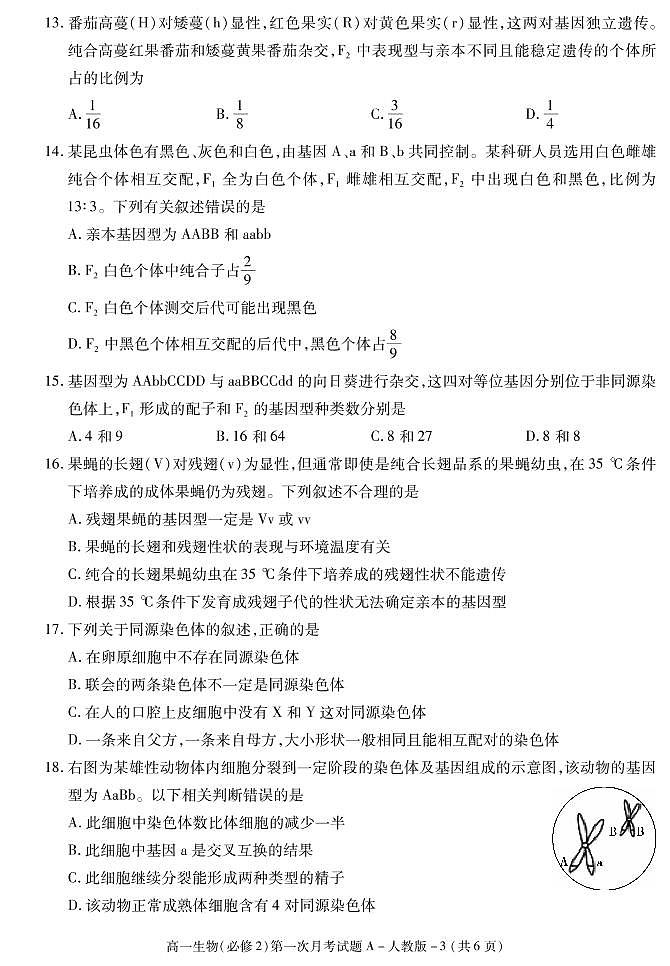 2021榆林十中高一下学期第一次月考生物试题PDF版含答案03