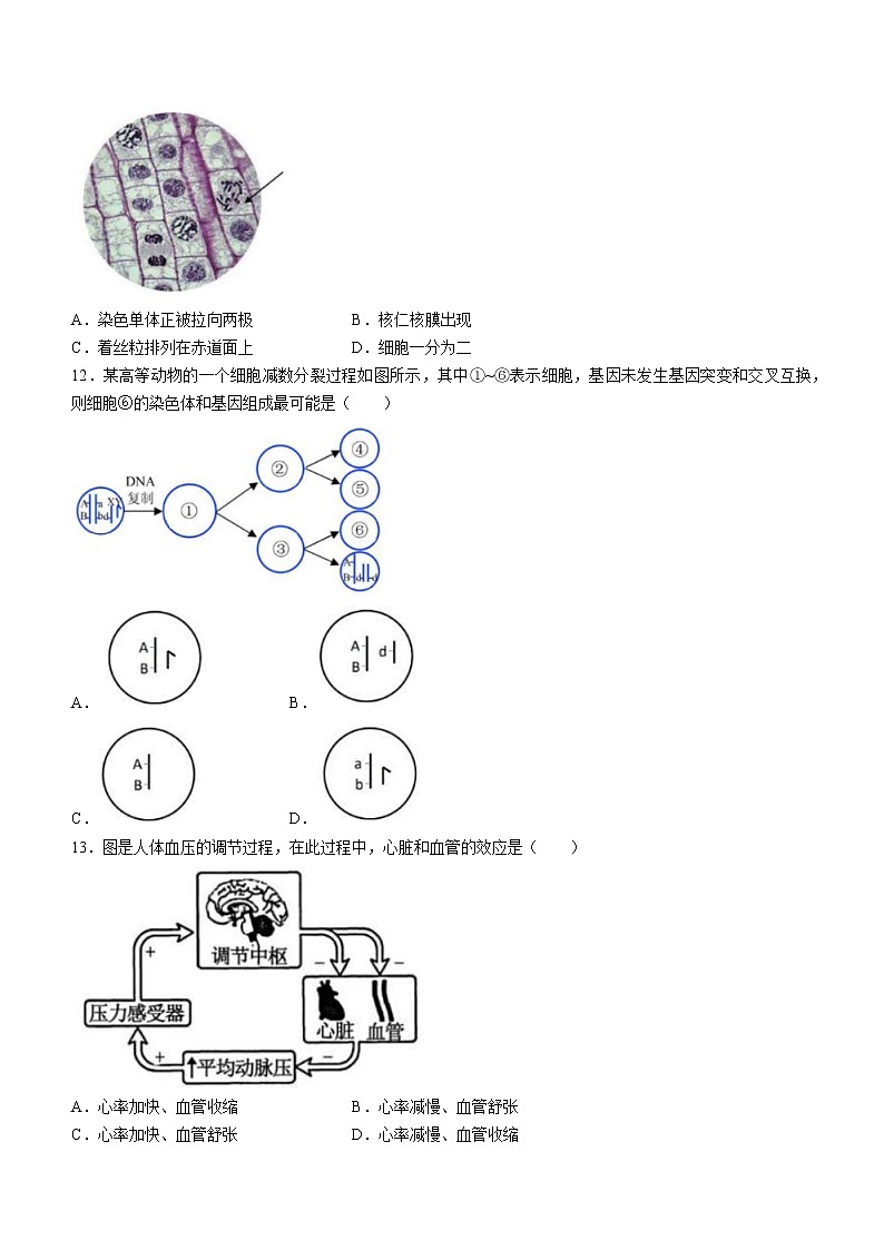 2022年上海市宝山区高二(三)生物等级考二模试题（含答案）03