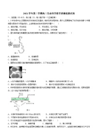 2022年上海市长宁区高二（线上）二模生物试题（含答案）