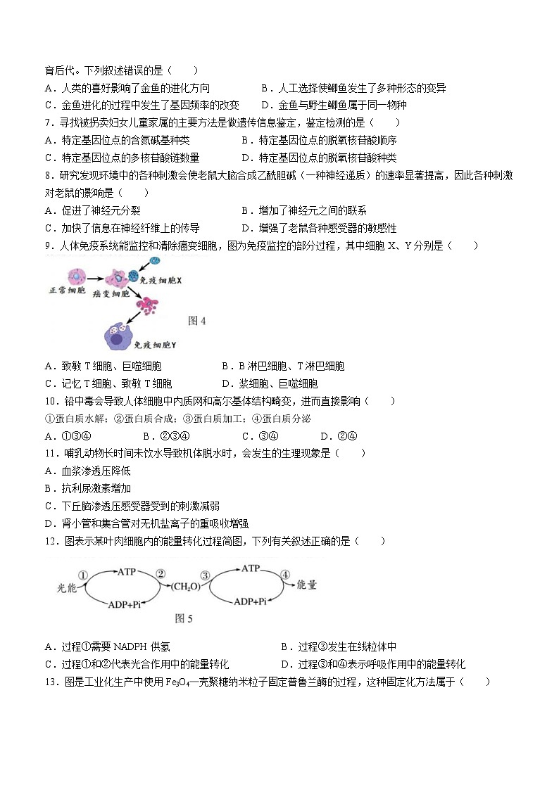 2022年上海市长宁区高二（线上）二模生物试题（含答案）第2页