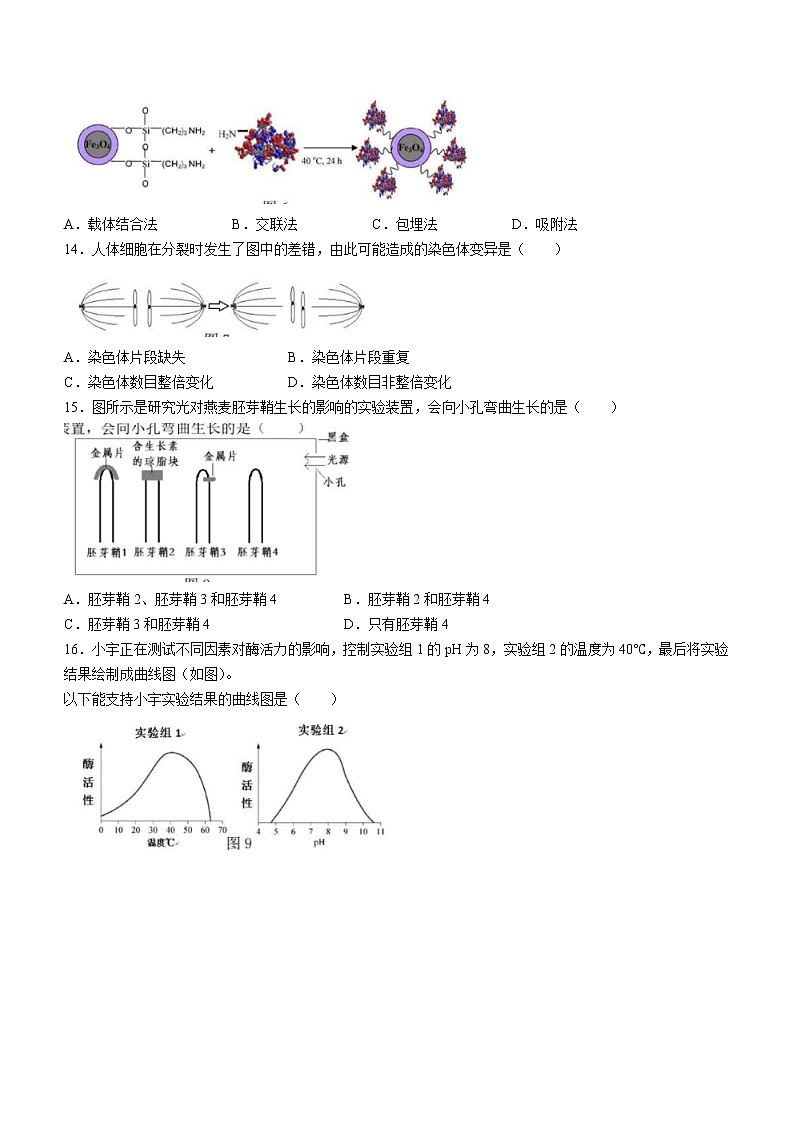 2022年上海市长宁区高二（线上）二模生物试题（含答案）第3页