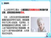 4.2《基因表达与性状的关系》课件PPT+教案
