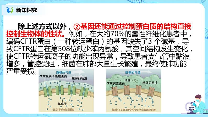 4.2《基因表达与性状的关系》课件PPT+教案06