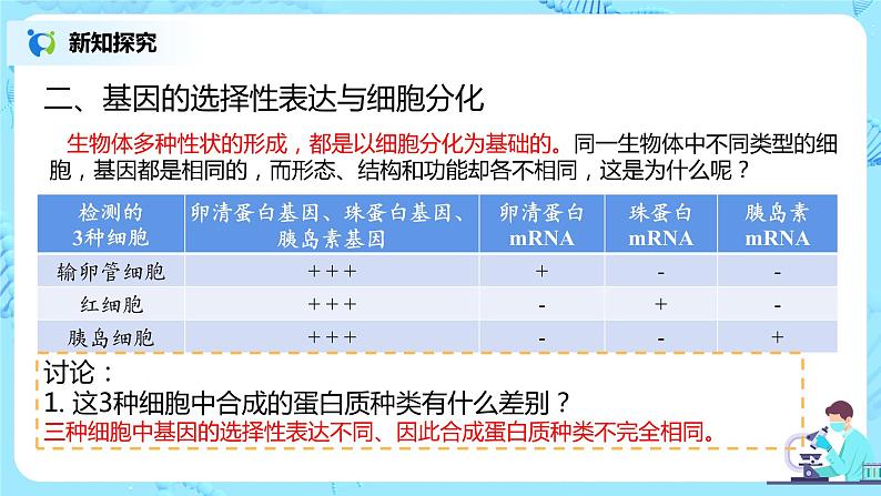 4.2《基因表达与性状的关系》课件PPT+教案07