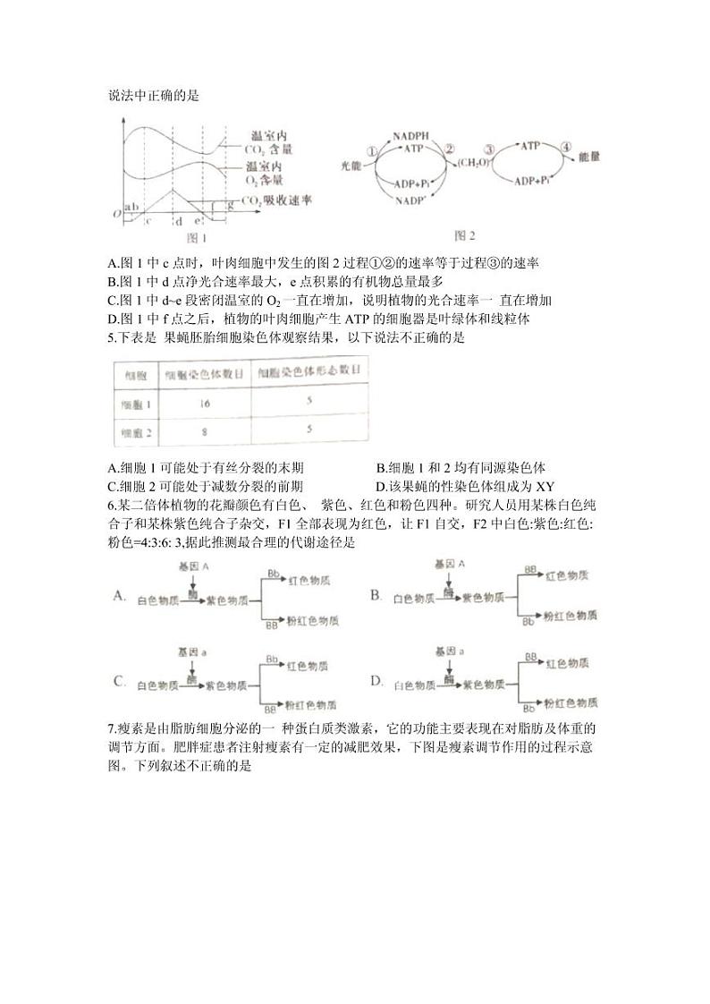 2021届天津市滨海七所重点学校高三上学期期末考试生物试卷 PDF版02