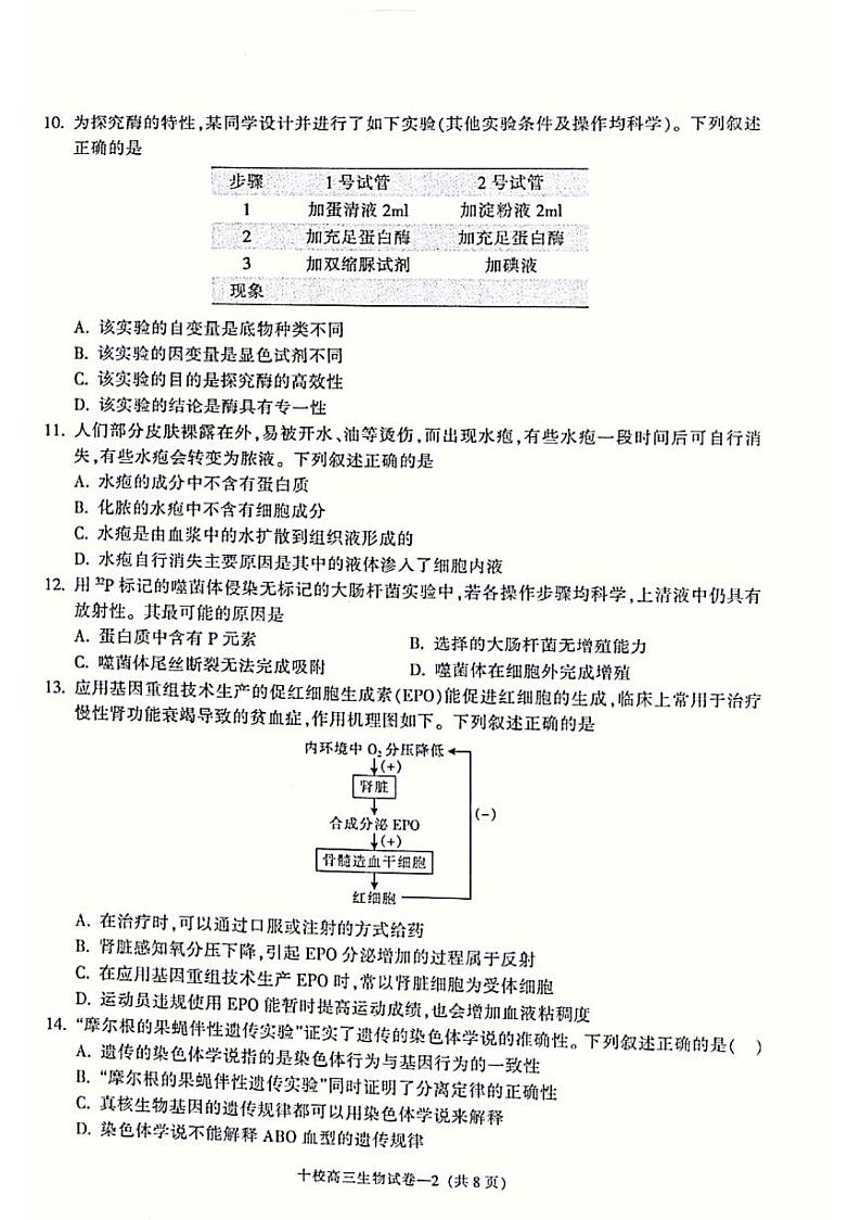 浙江省金华十校2021-2022学年高三下学期4月模拟考试生物试卷及答案02